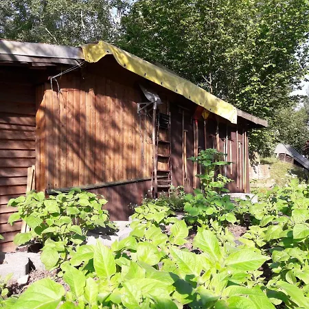 Birkenhof Ashram Lakshmi
